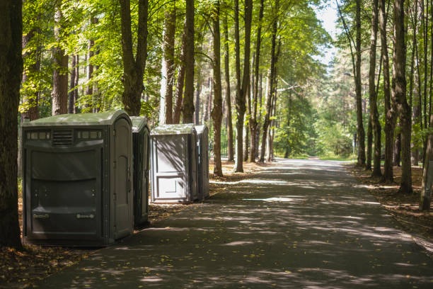 Best Luxury portable toilet rental  in Saline, MI